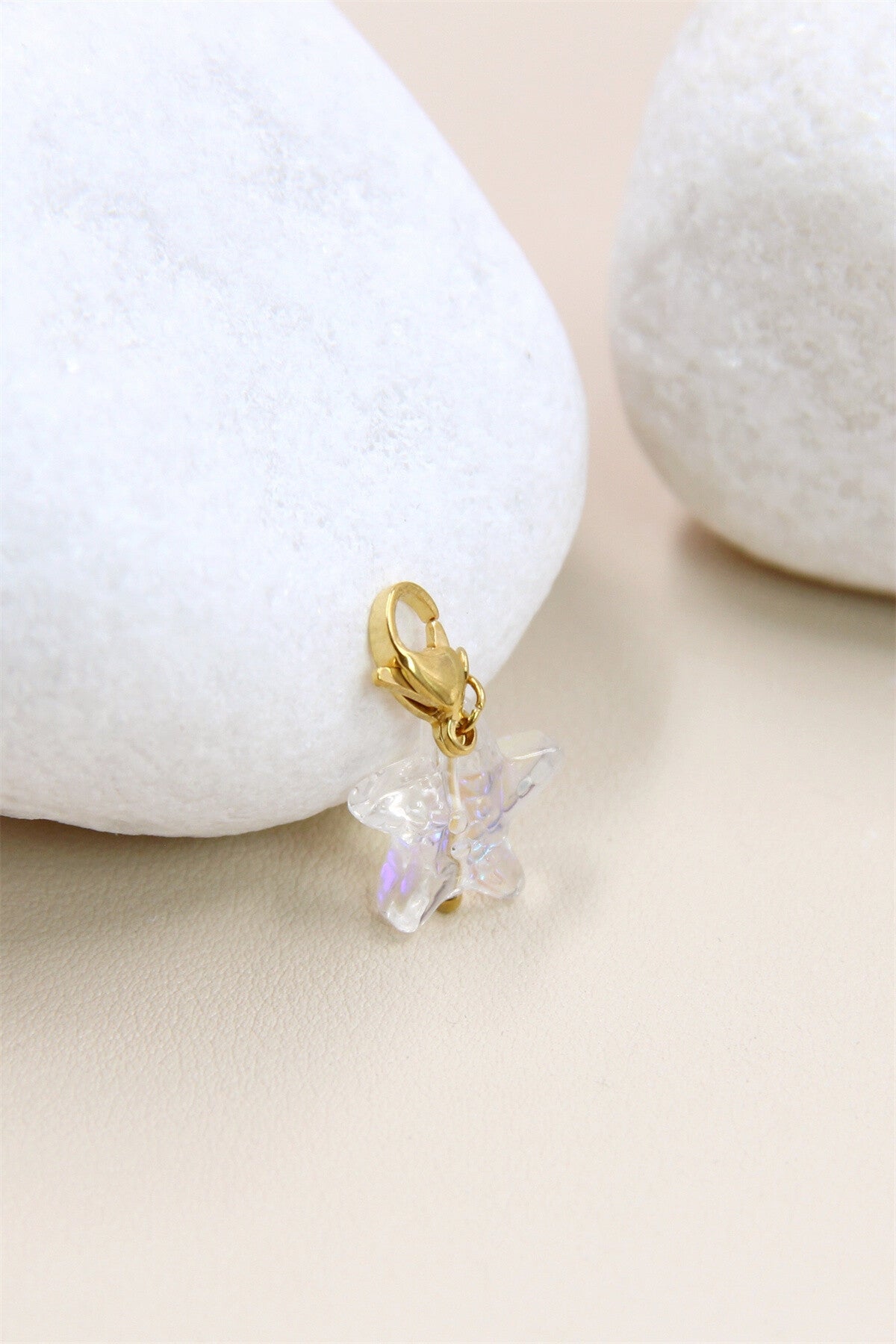 Étoile de mer transparante