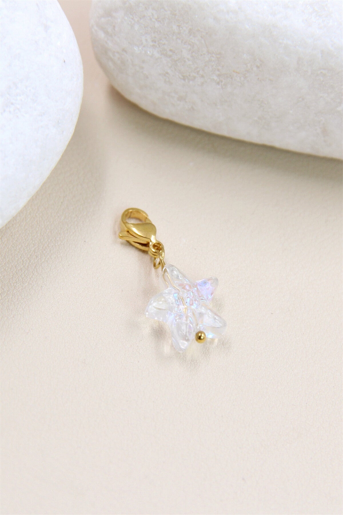 Étoile de mer transparante